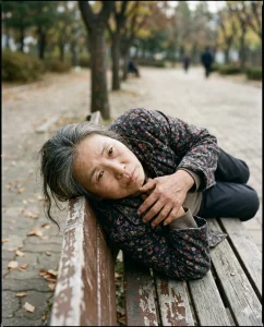 Giữa Đông, Hoa Vẫn Nở