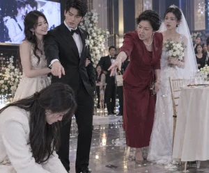 Hôn Nhân Giả, Tiền Thật